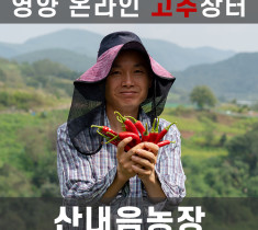명품산내음세척청결고춧가루 1kg 산내음농장 산내음고춧가루 영양고춧가루 세척청결고추 영양고추 2022년산 명품고추 허가업체제분