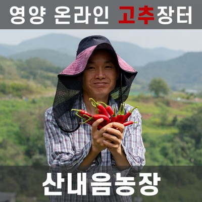 명품산내음세척청결고춧가루 1kg 산내음농장 산내음고춧가루 영양고춧가루 세척청결고추 영양고추 2022년산 명품고추 허가업체제분