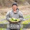 둔지터농원] 산마늘 1kg